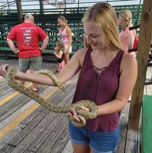 Meet your Posher, Alexandria